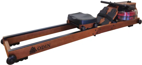 Odin R1700 Wioślarz Dąb